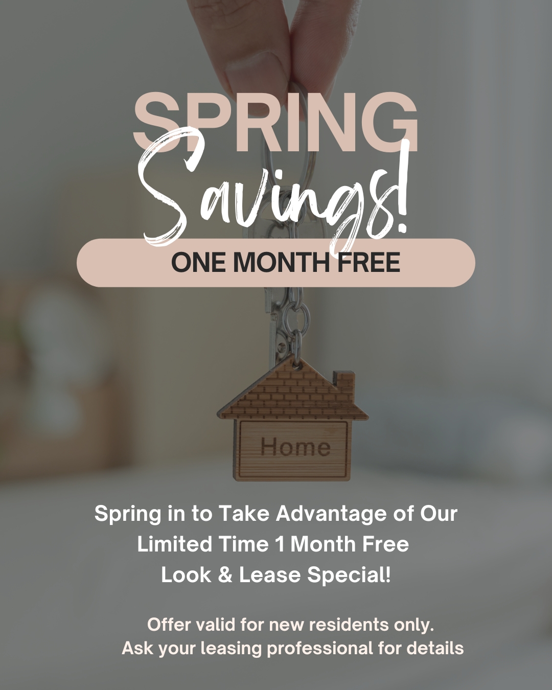 spring savings pop up